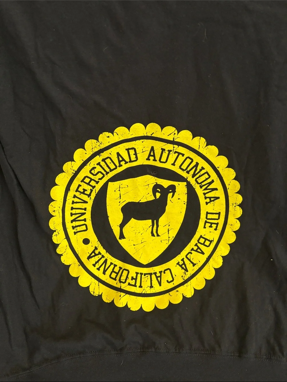 University Crest Black Hoodie with Yellow Seal